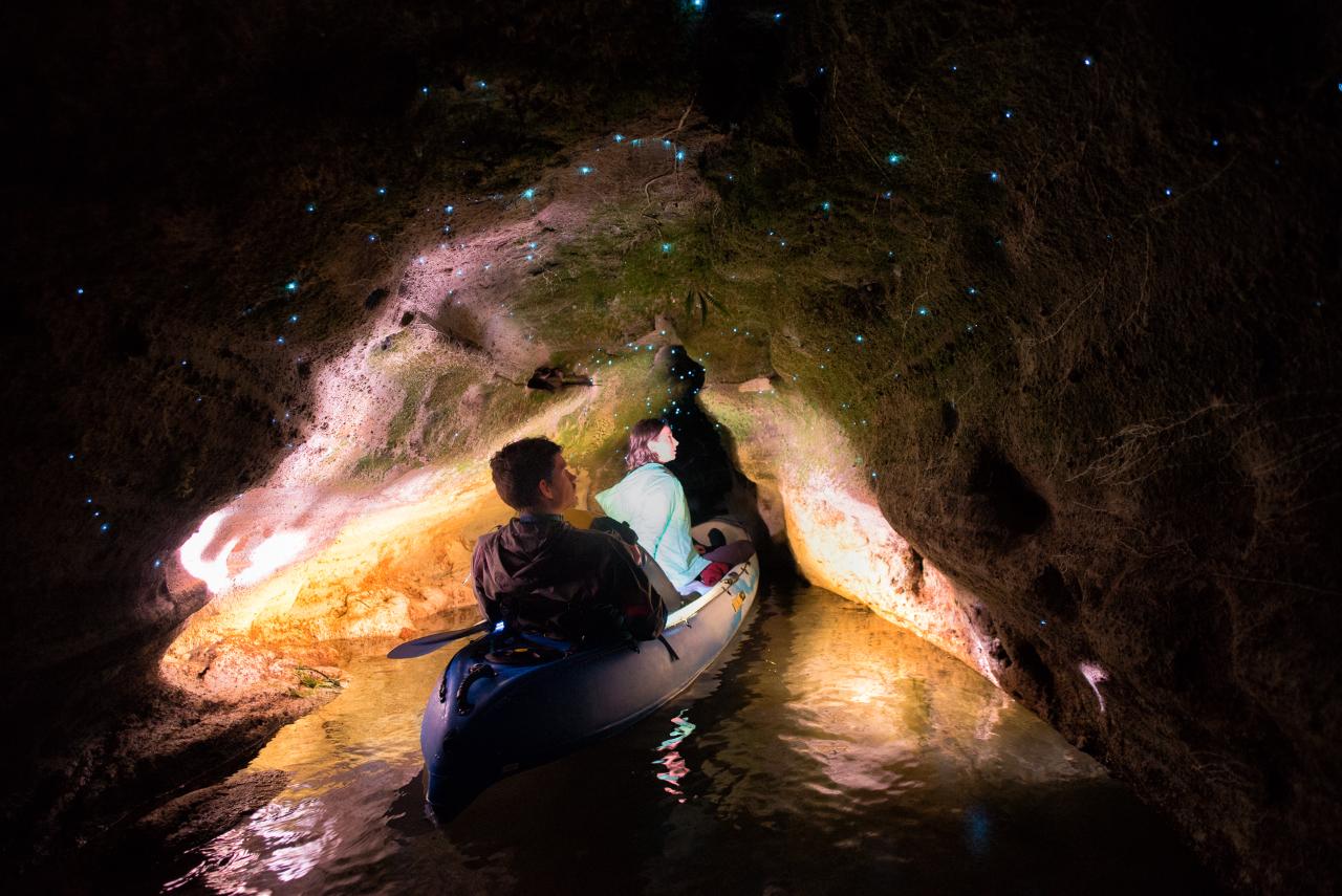 Glow Worm Kayak Tour Rotorua