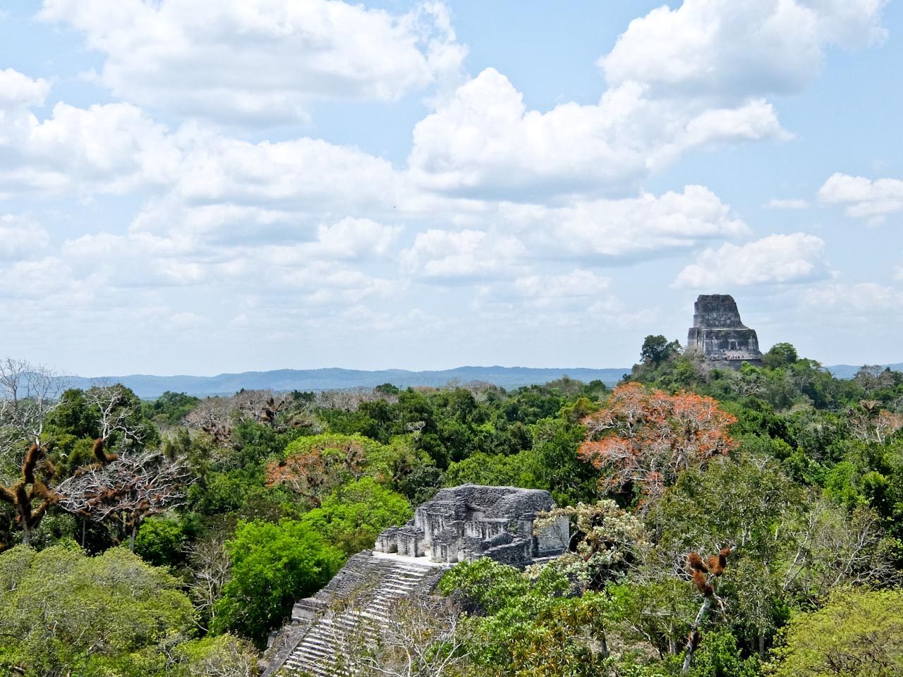 Temple IV