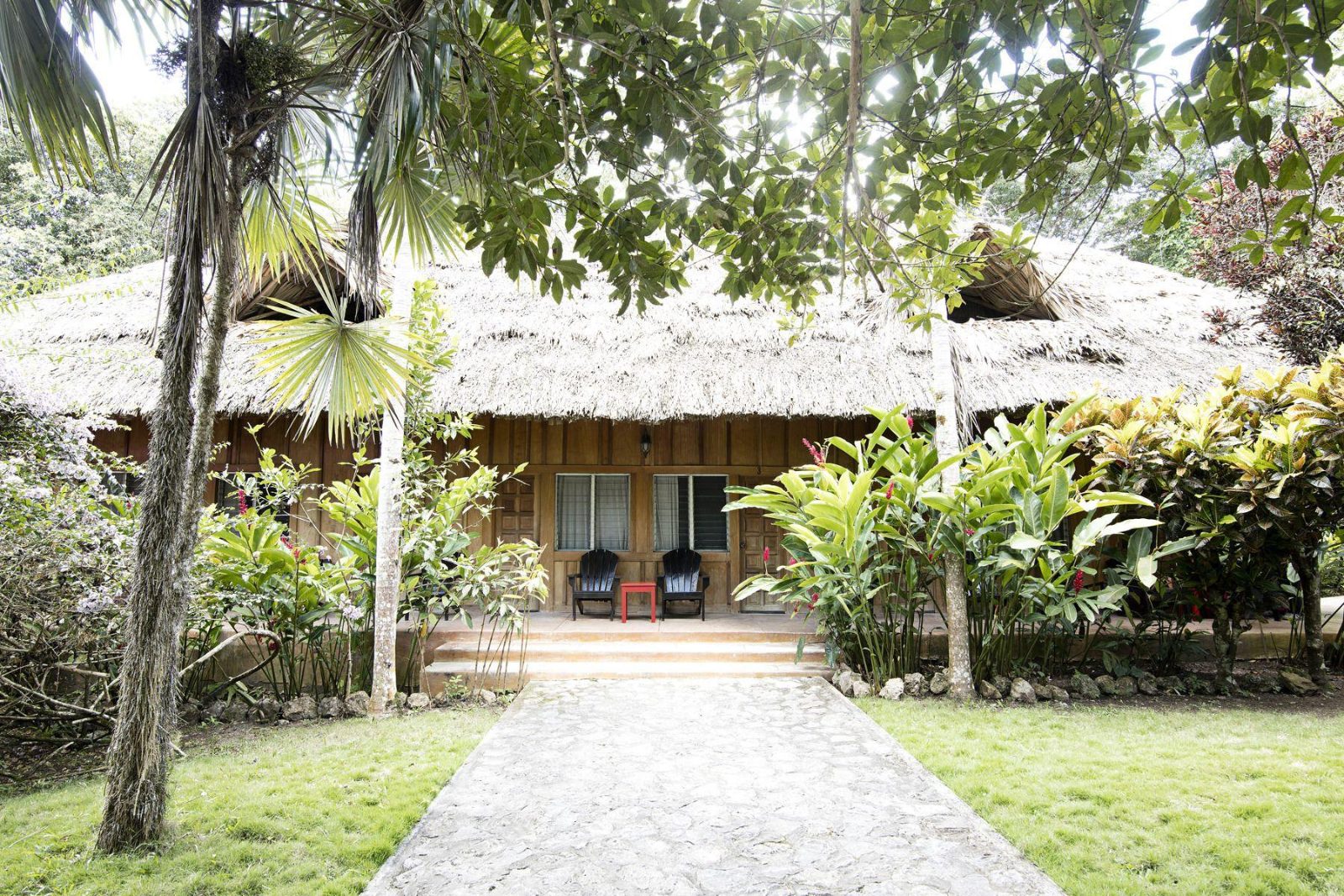 Jungle Lodge