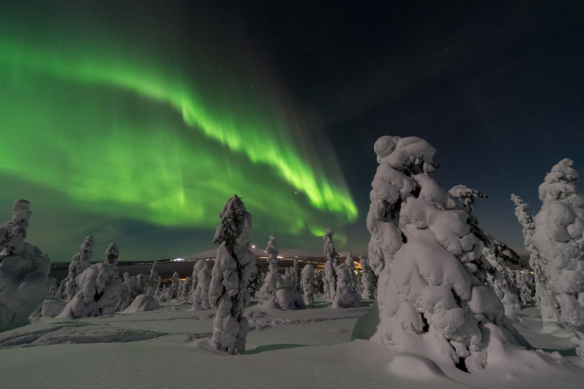 Arctic Circle Northern Lights Tour From Fairbanks