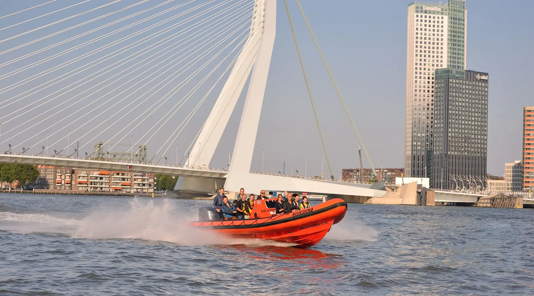 Rib Boat Rotterdam