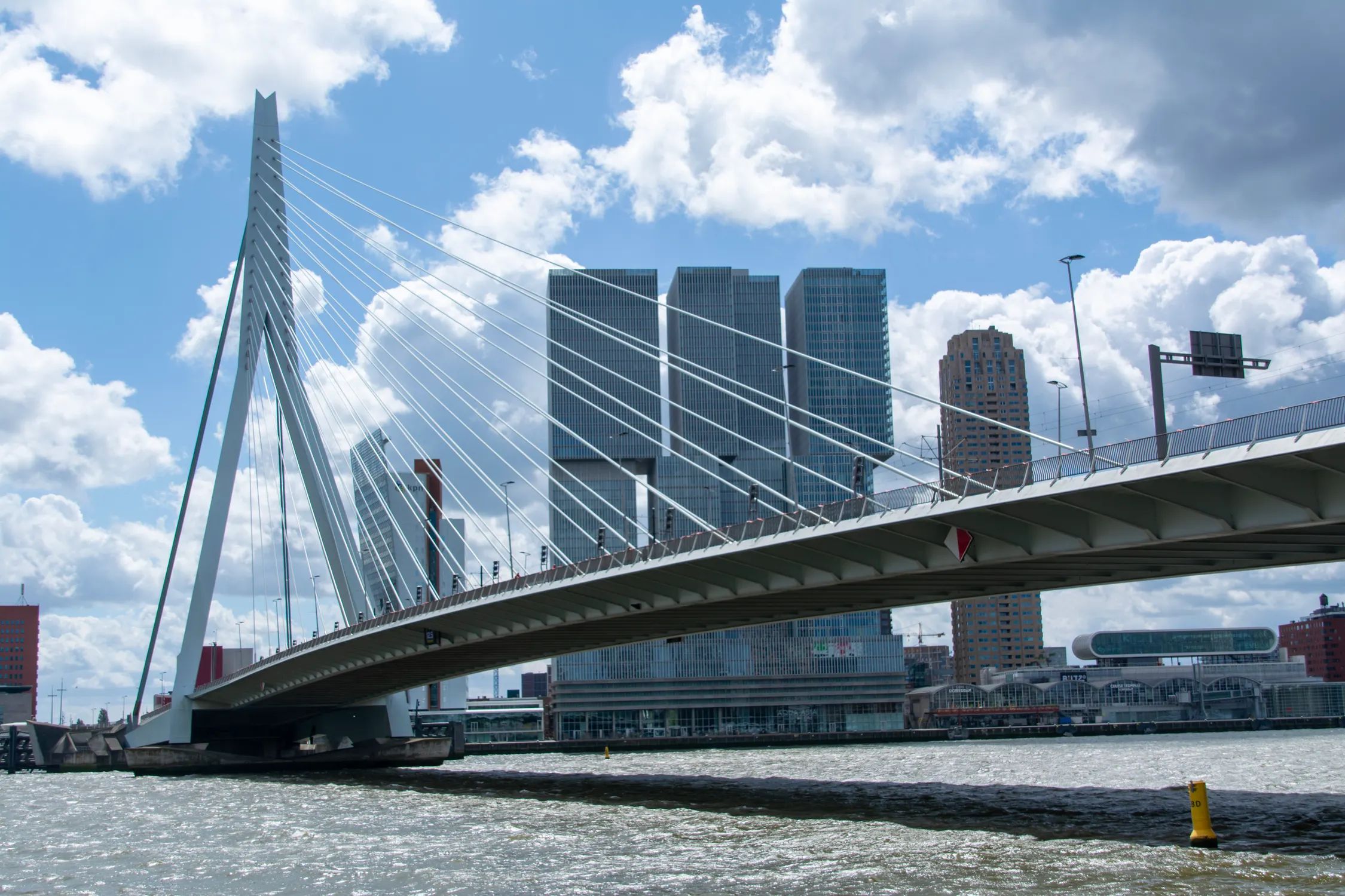 Rib Boat Rotterdam on the Nieuwe Maas