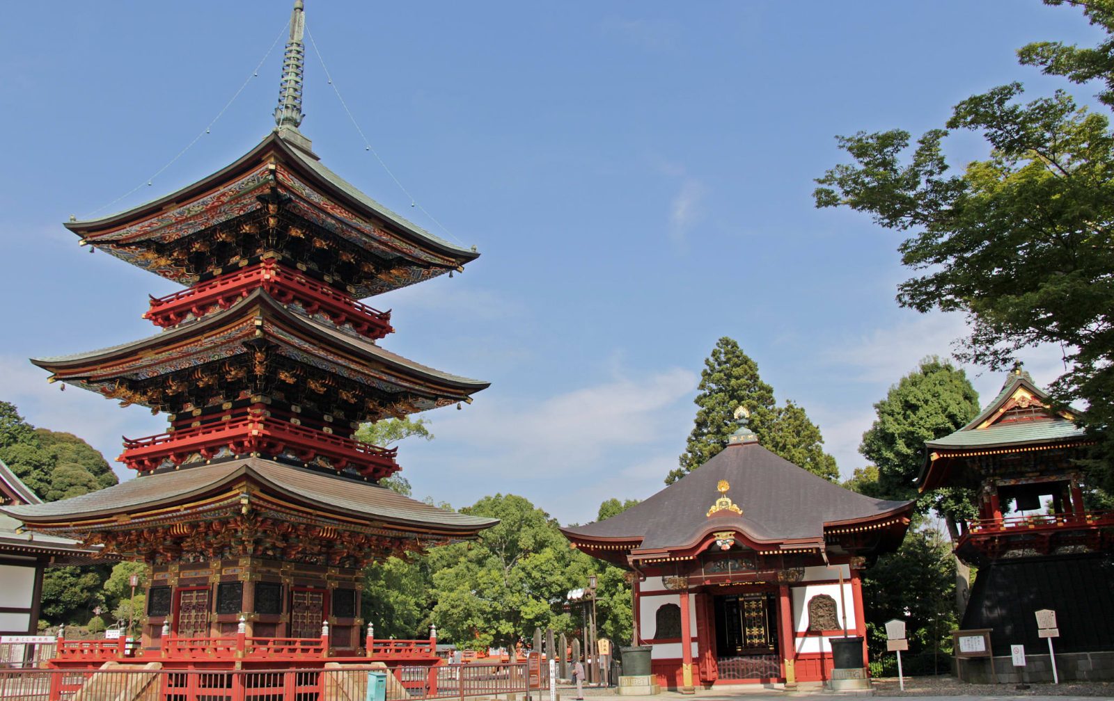 Narita Layover Tour Between Connecting Flights