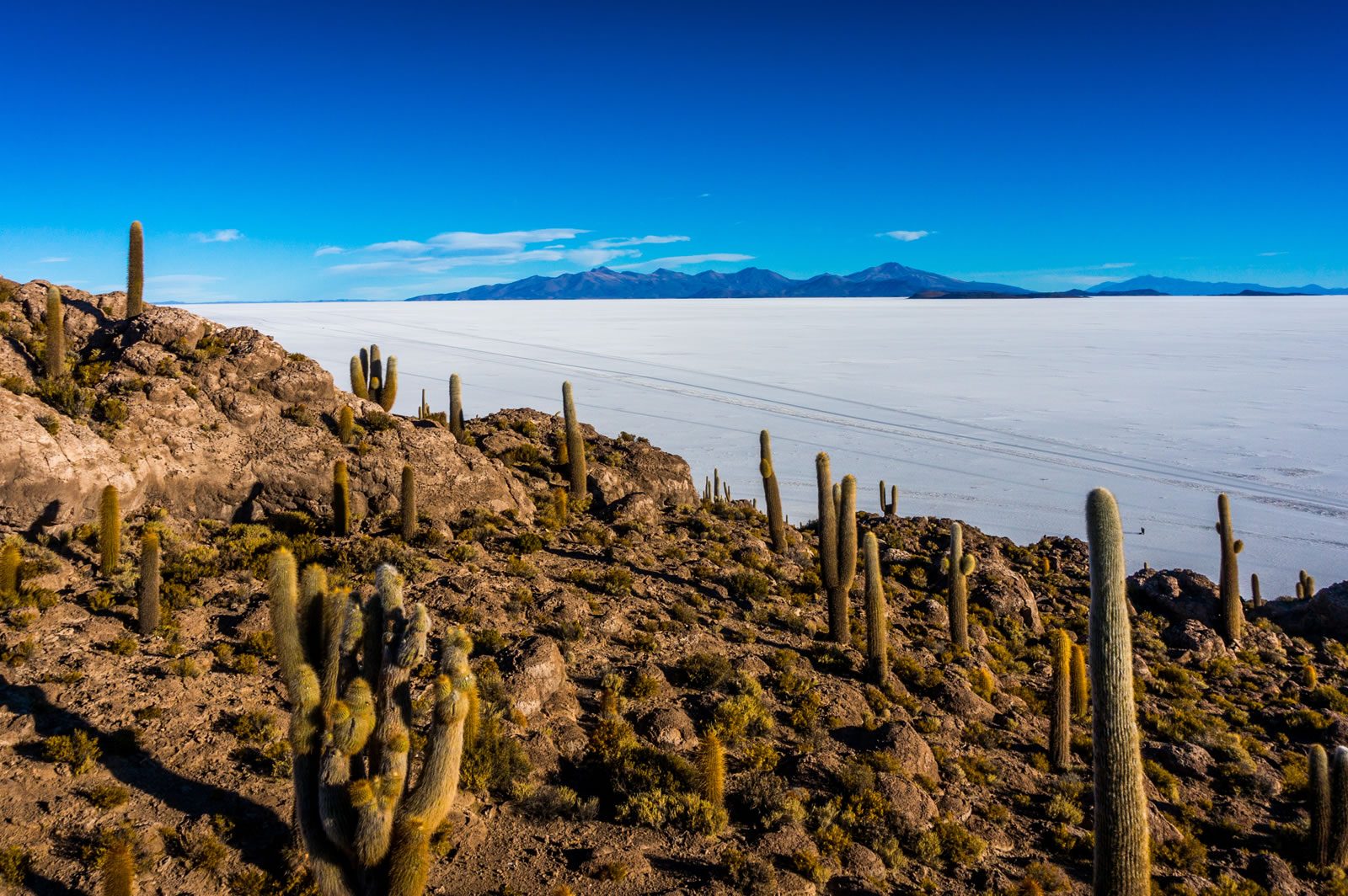 Your experience at Salar De Uyuni Tour From La Paz