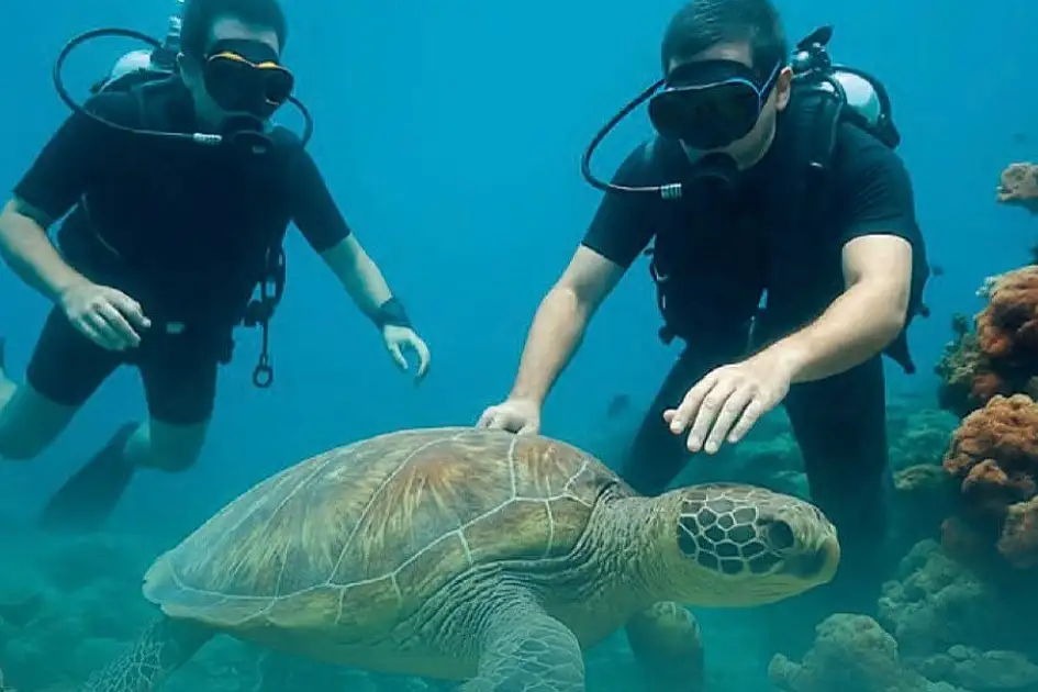 Coastal Marine Life