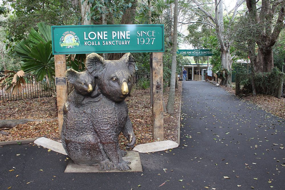Brisbane River Cruise to Koala Sanctuary Explained