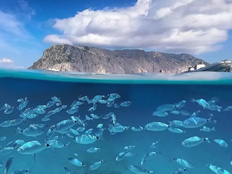 Marine Protected Area