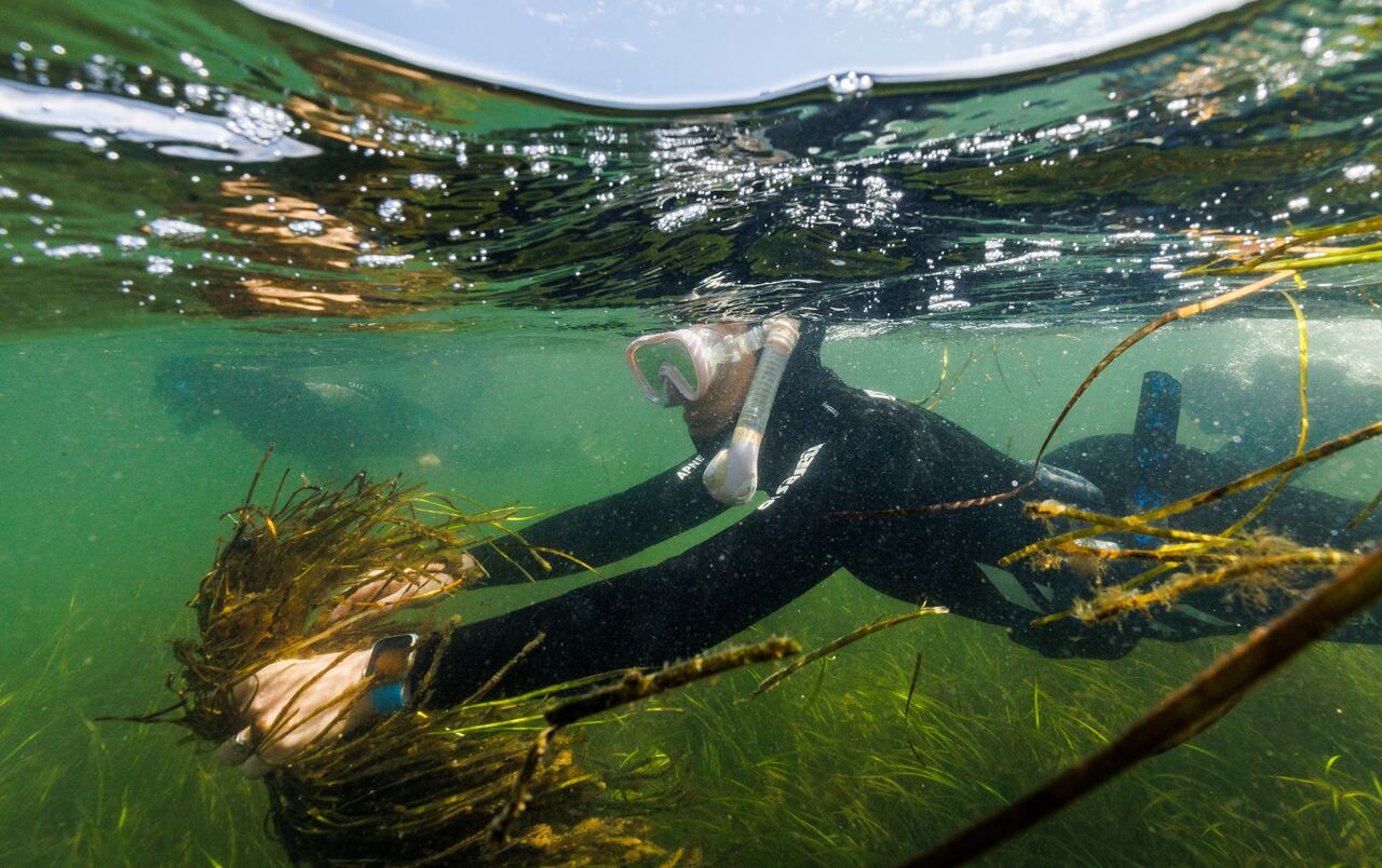 Your experience at Tavolara Snorkeling