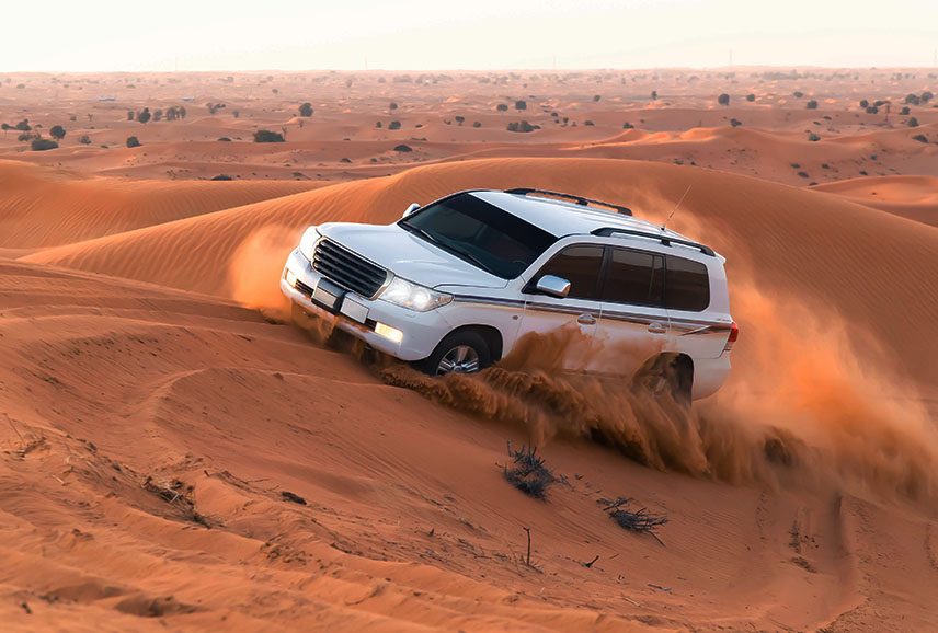 Dubai Red Dunes Safari