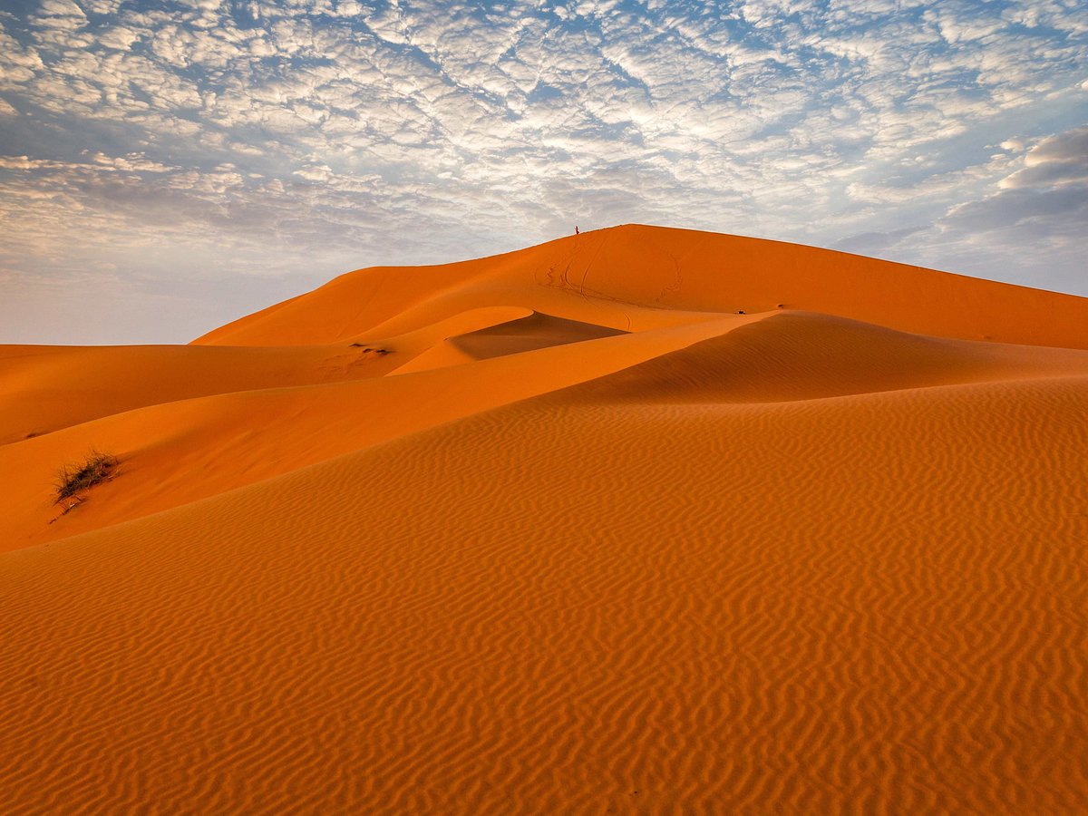 Dubai Red Dunes Safari: What to Expect