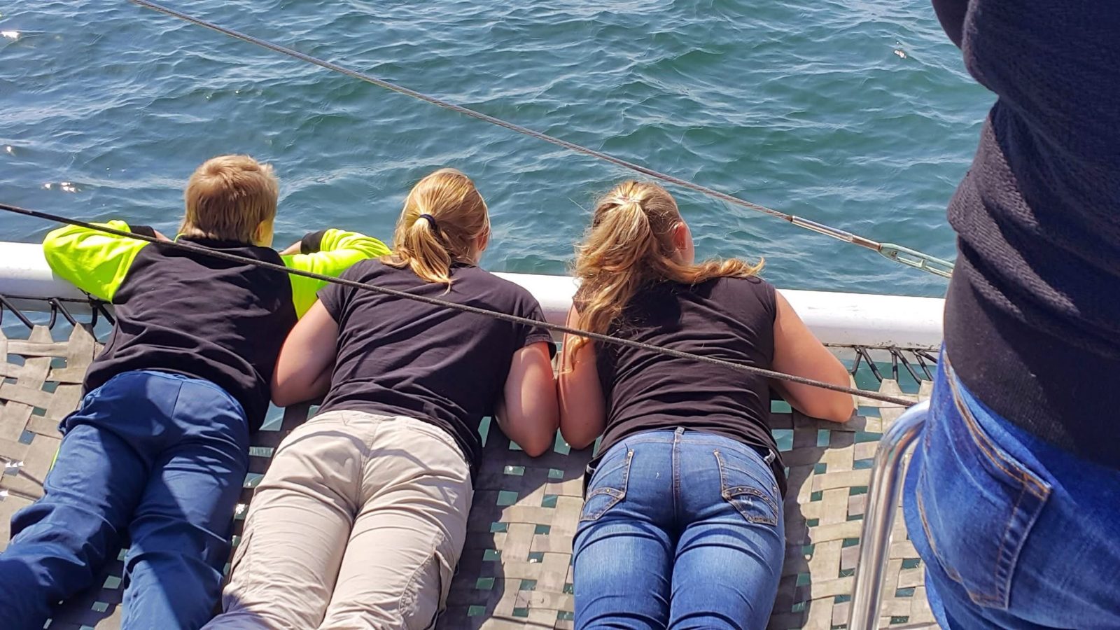 Your experience at Walvis Bay Catamaran Tours