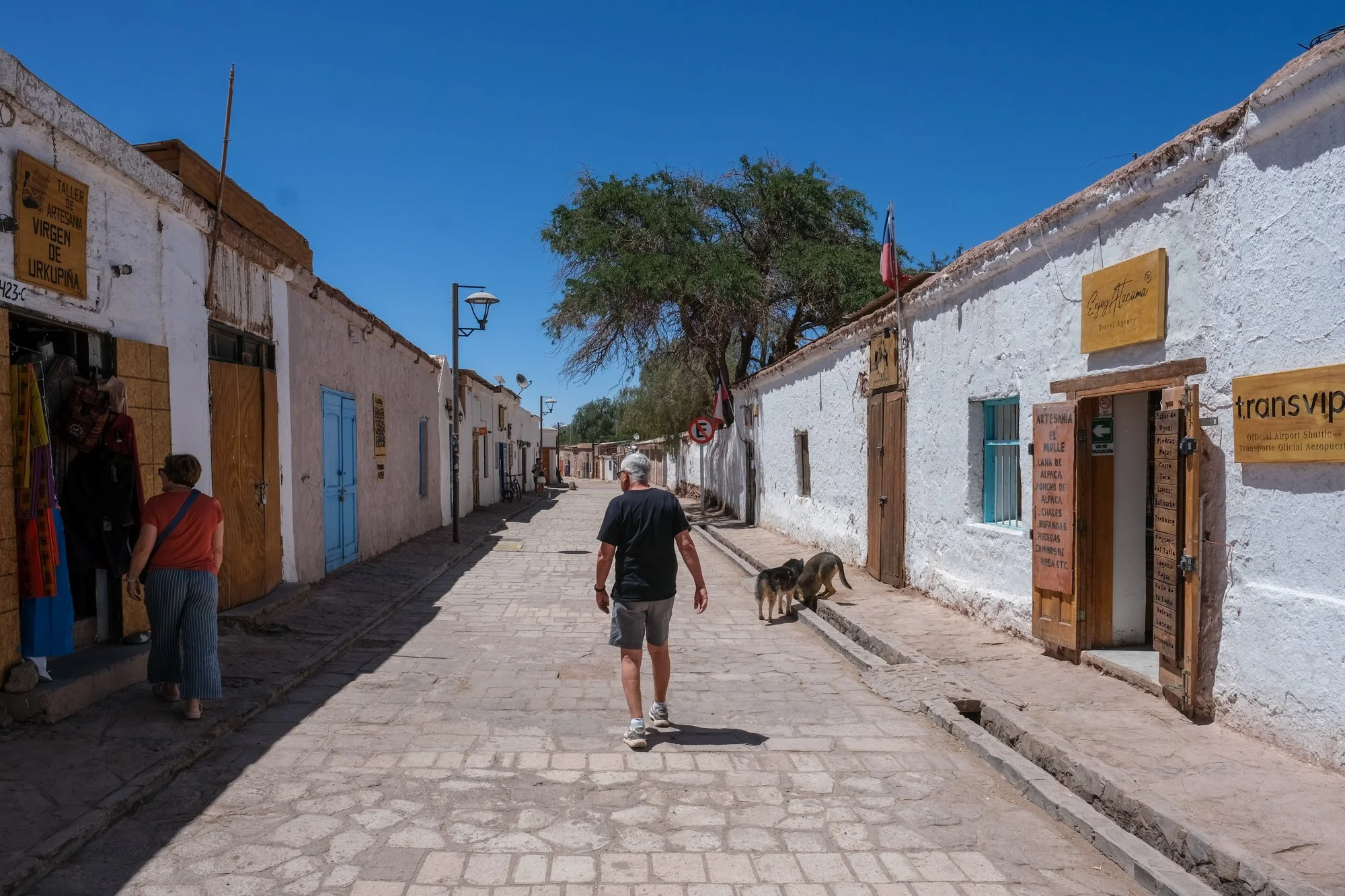 From San Pedro de Atacama