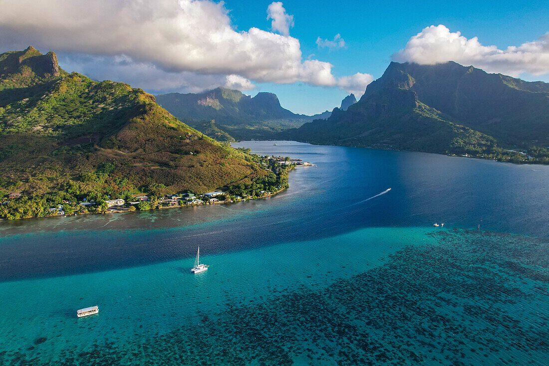 Moorea Swim With Whales: Humpback Encounters Offshore