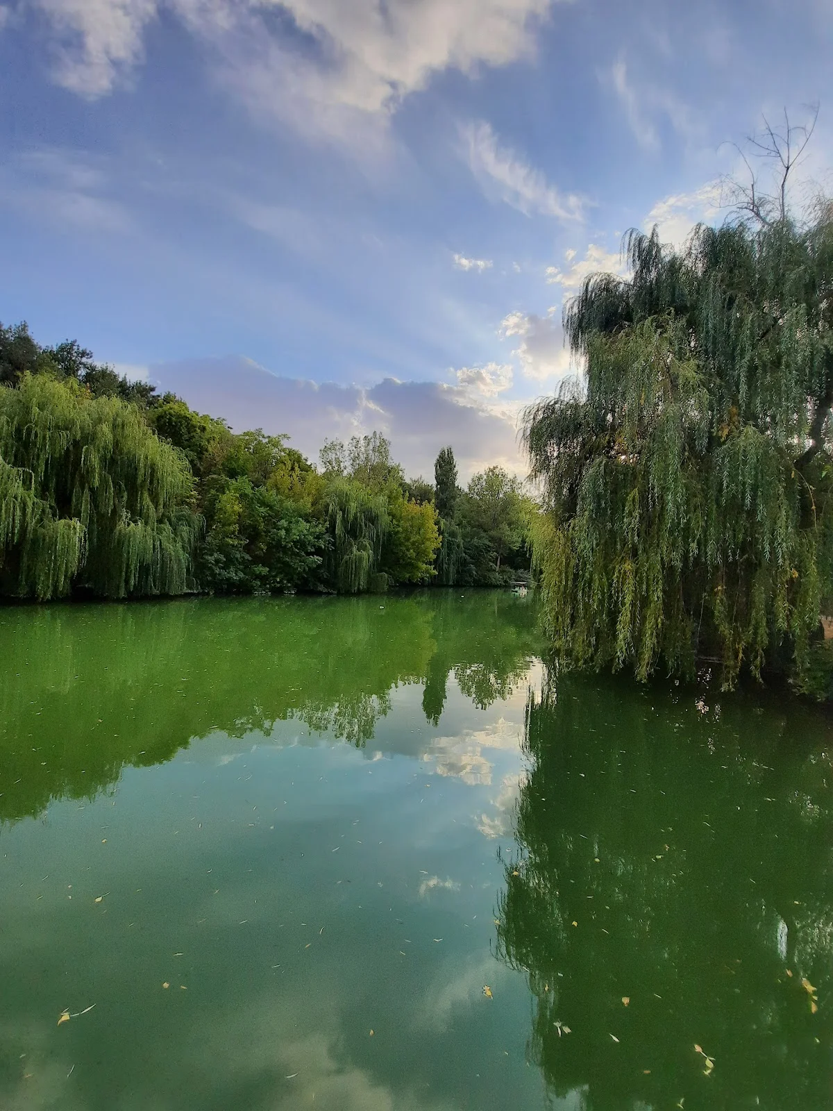 Shymkent Arboretum