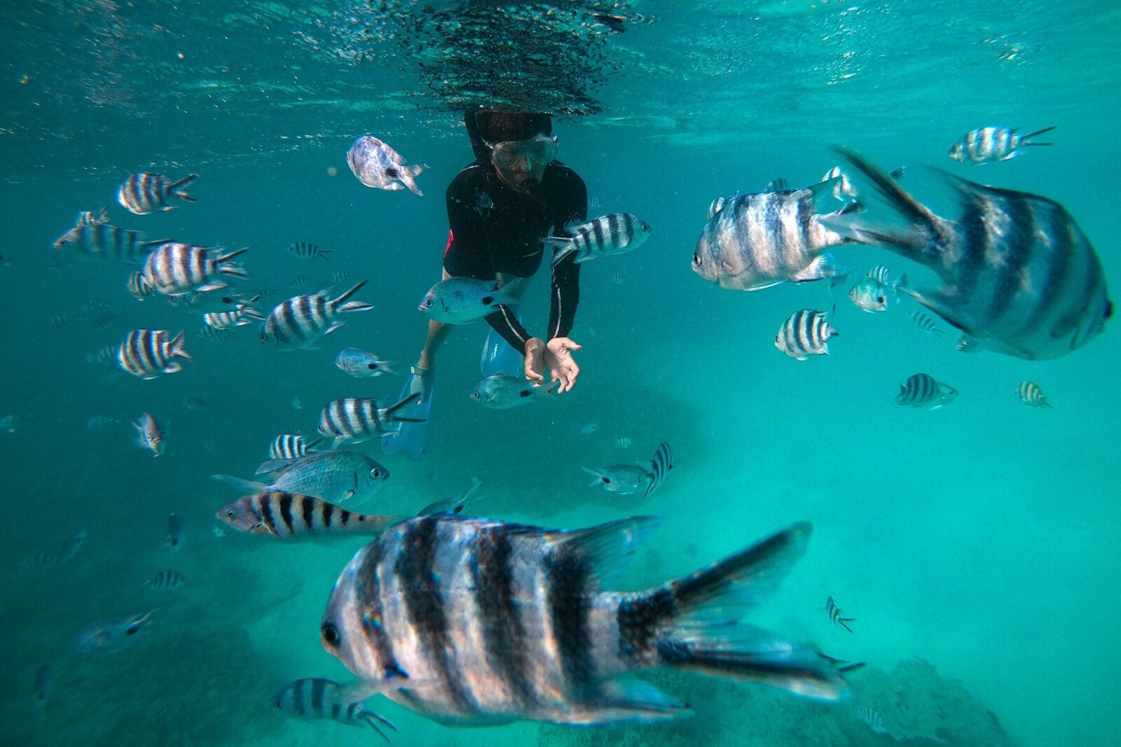 Your experience at 5 Islands Tour Mauritius