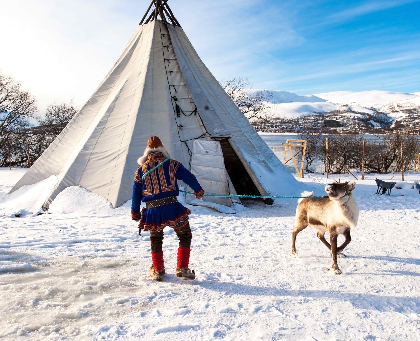Reindeer Feeding and Northern Lights Tromso Explained