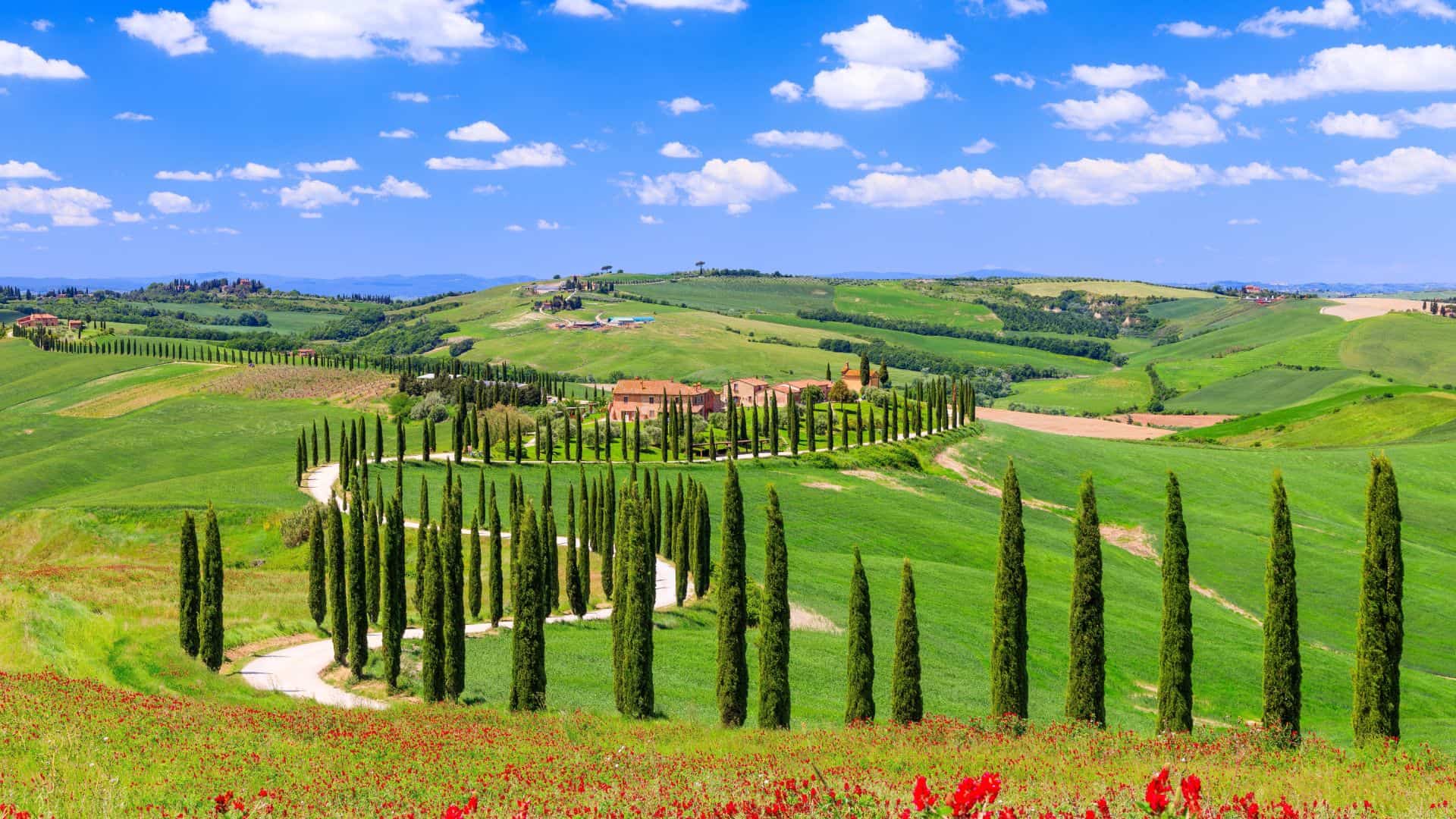 Cypress Groves
