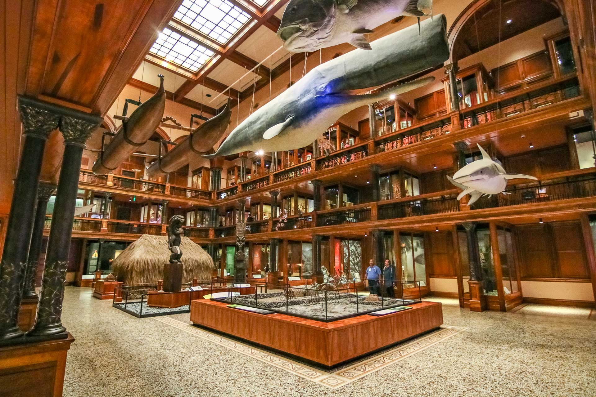 Bishop Museum
