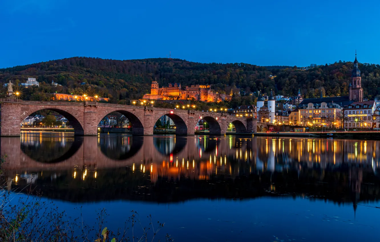 Neckar River Bank