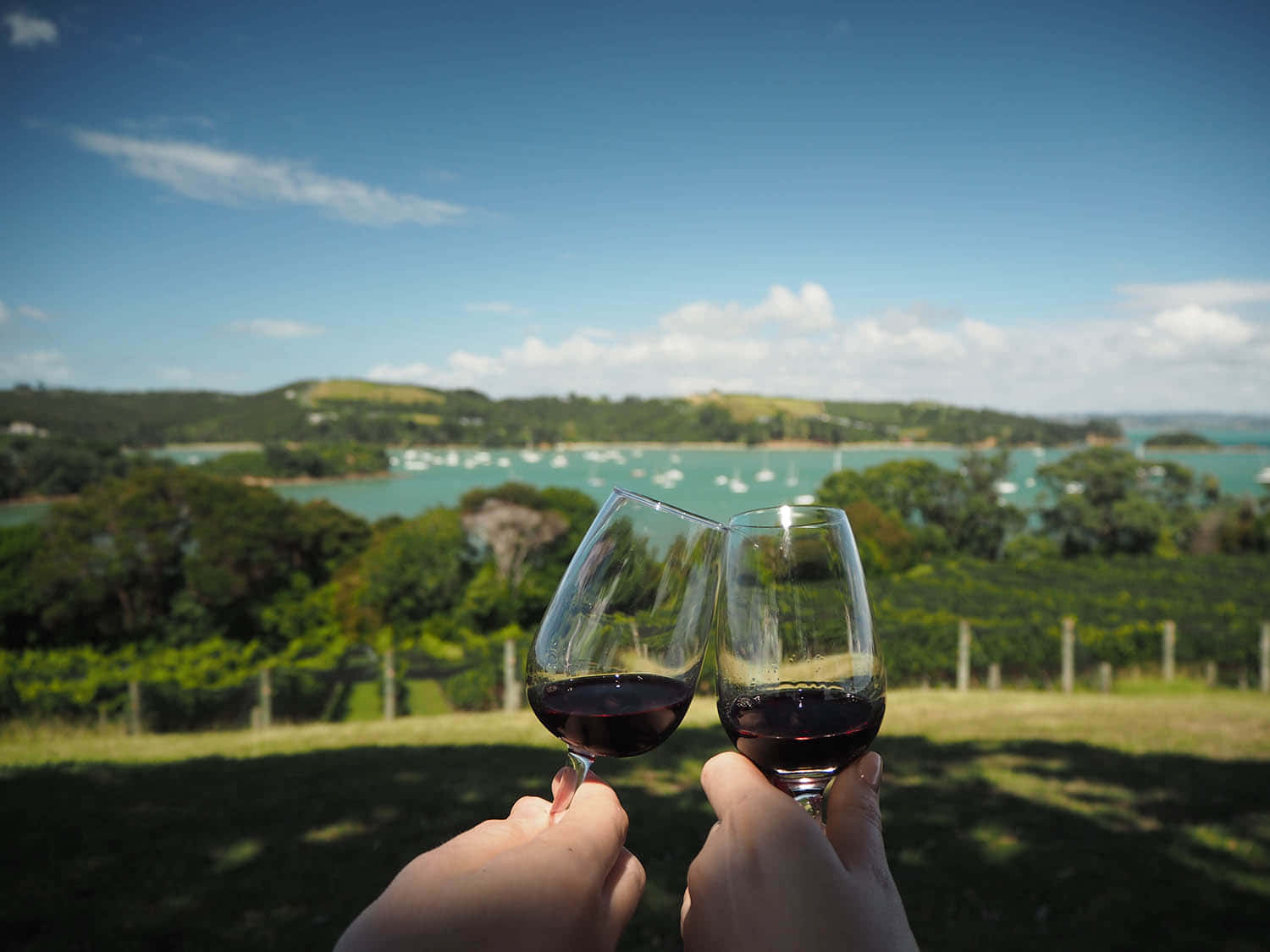 Waiheke Island Tours