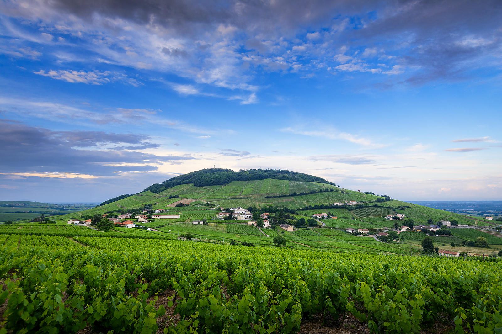 Mont Brouilly