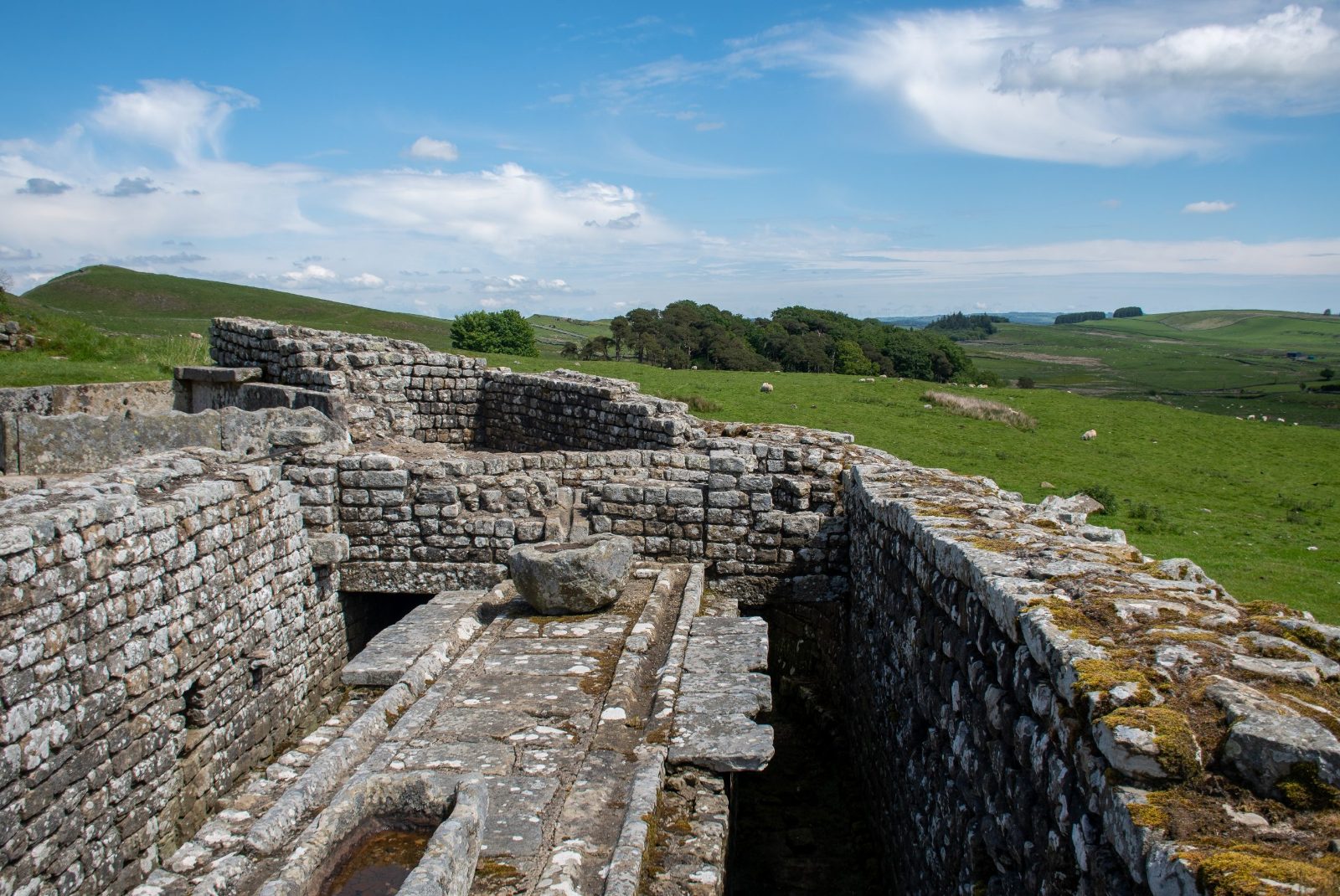 The Perimeter Wall