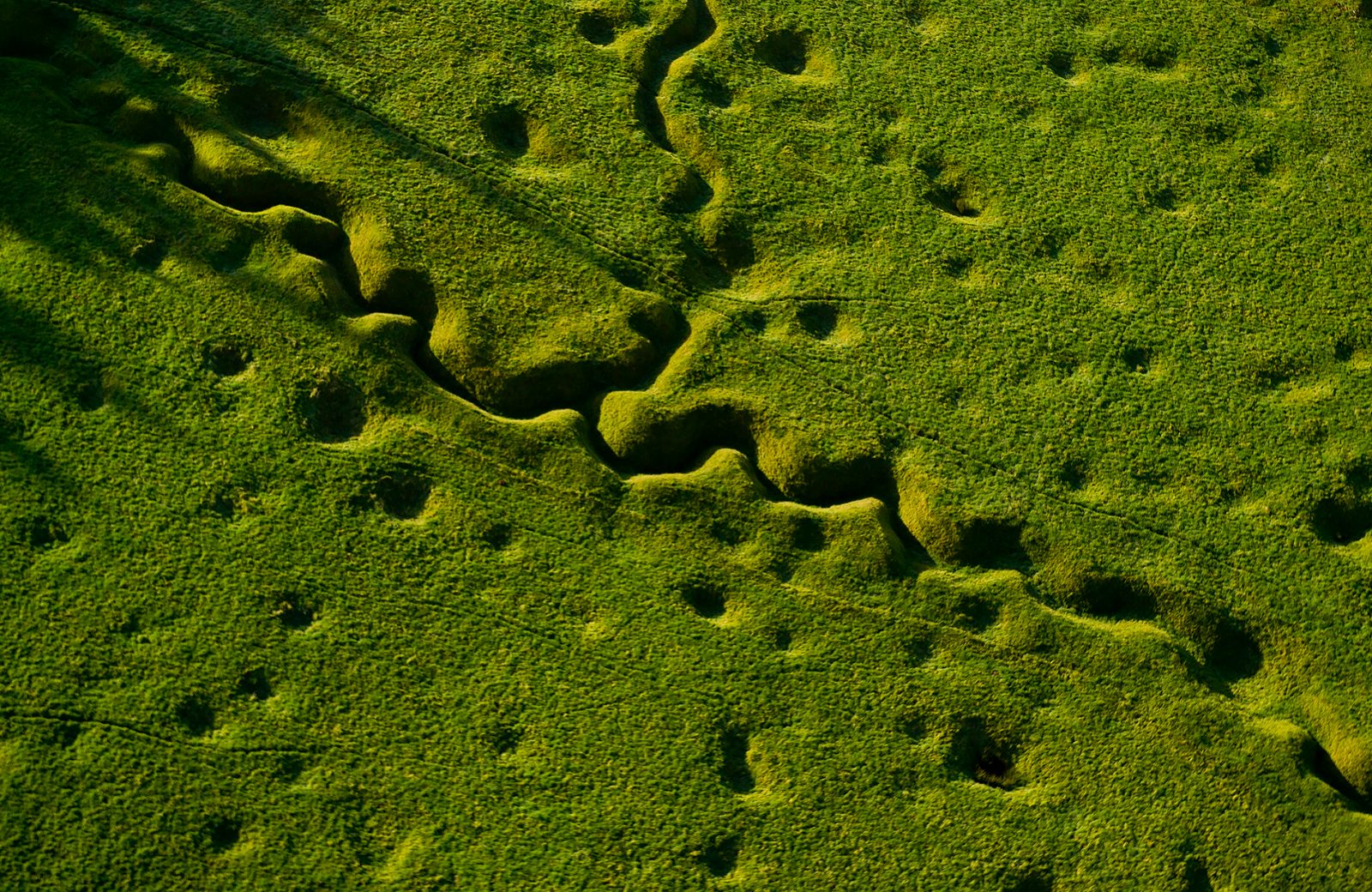 Newfoundland Memorial Park
