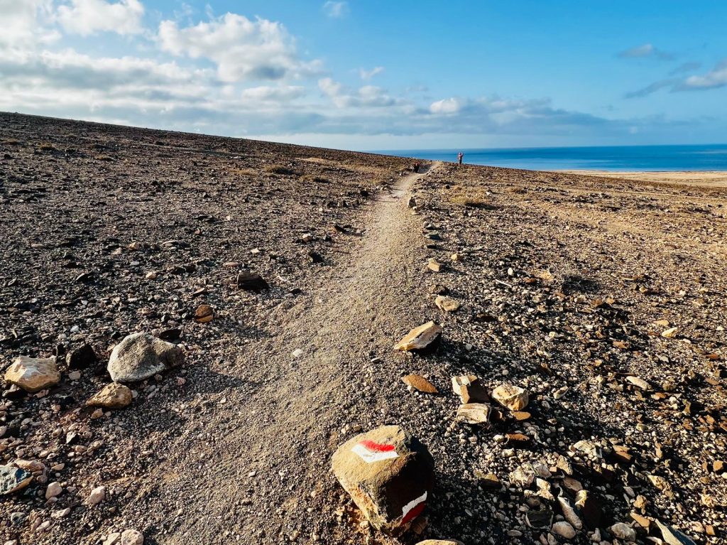 Coastal Hiking Paths