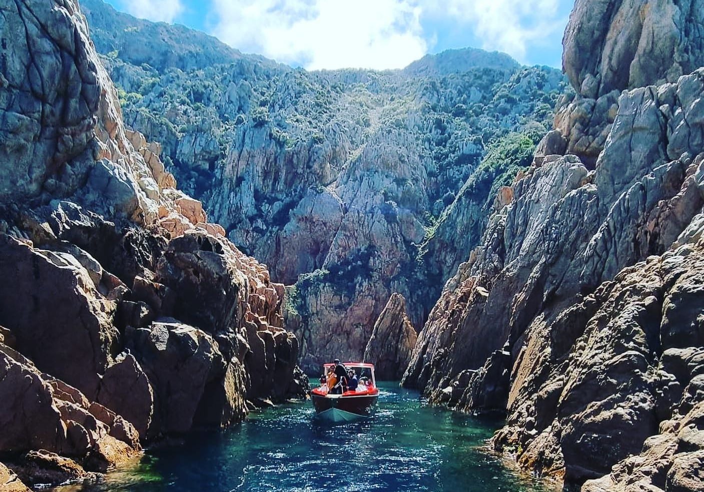 Scandola Boat Trip