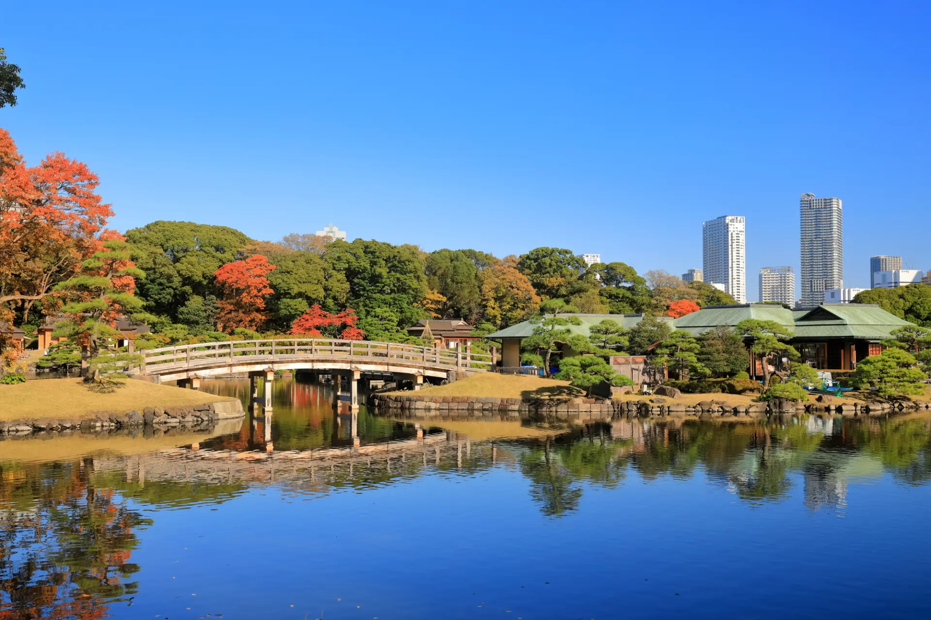 Hama-rikyu Gardens
