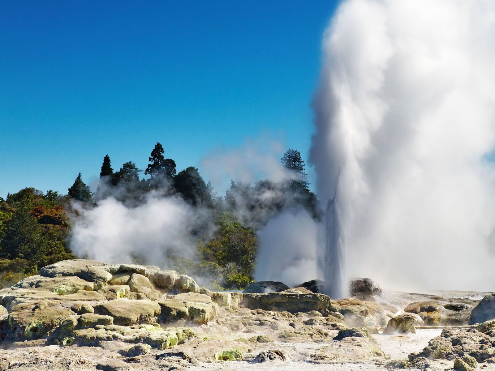 How to Pronounce Rotorua New Zealand