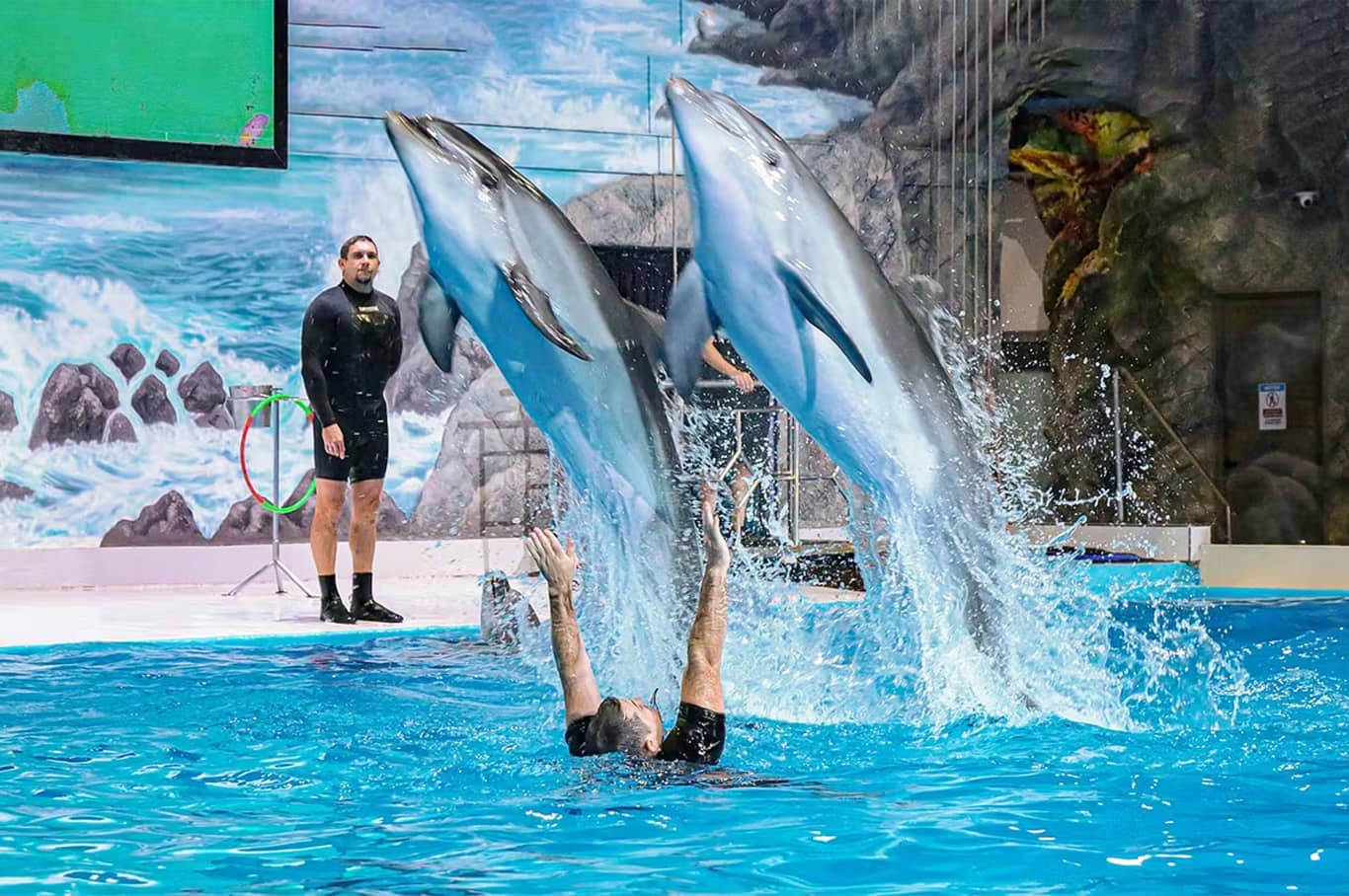 Dubai Dolphinarium show