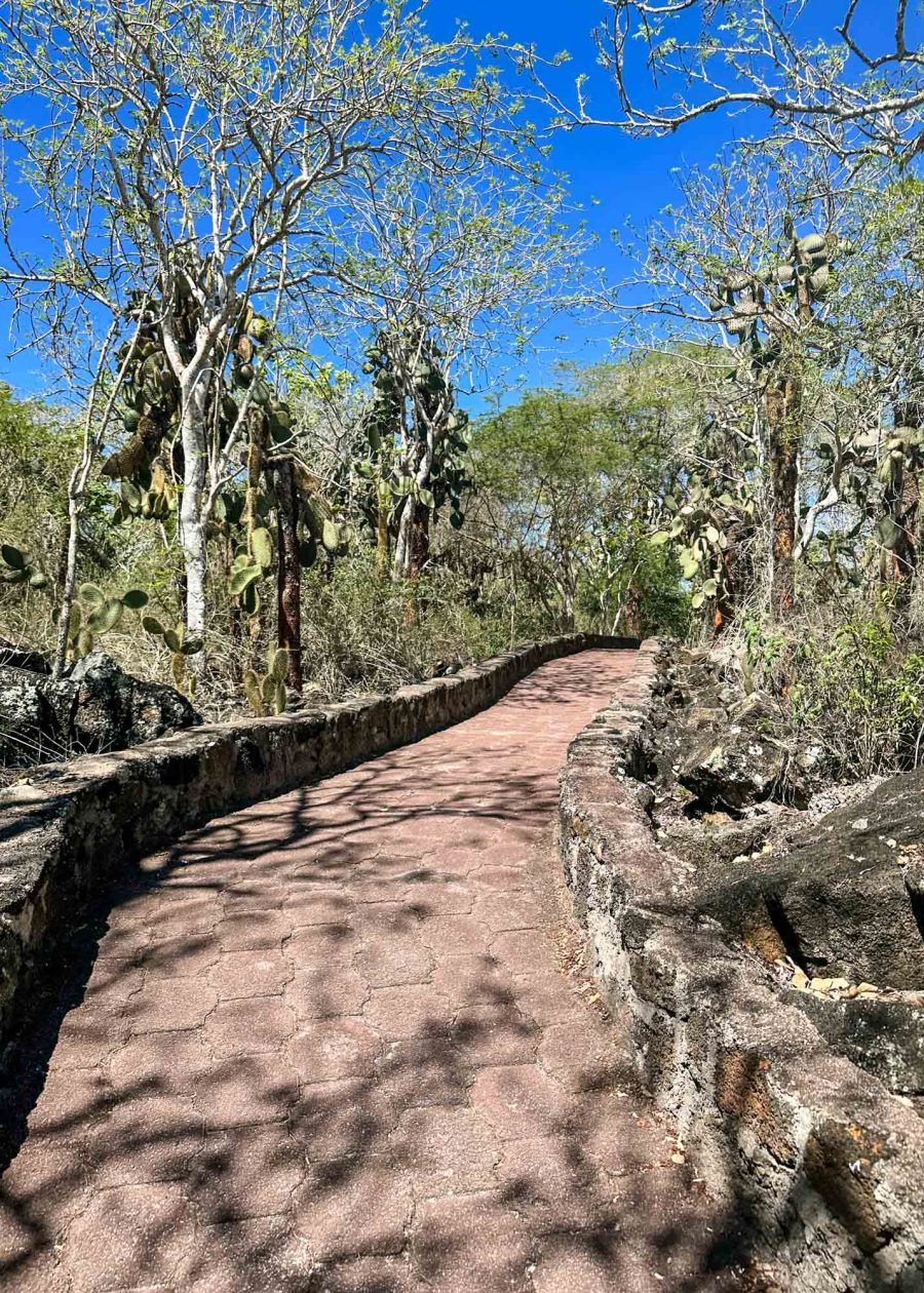 Hiking Trails
