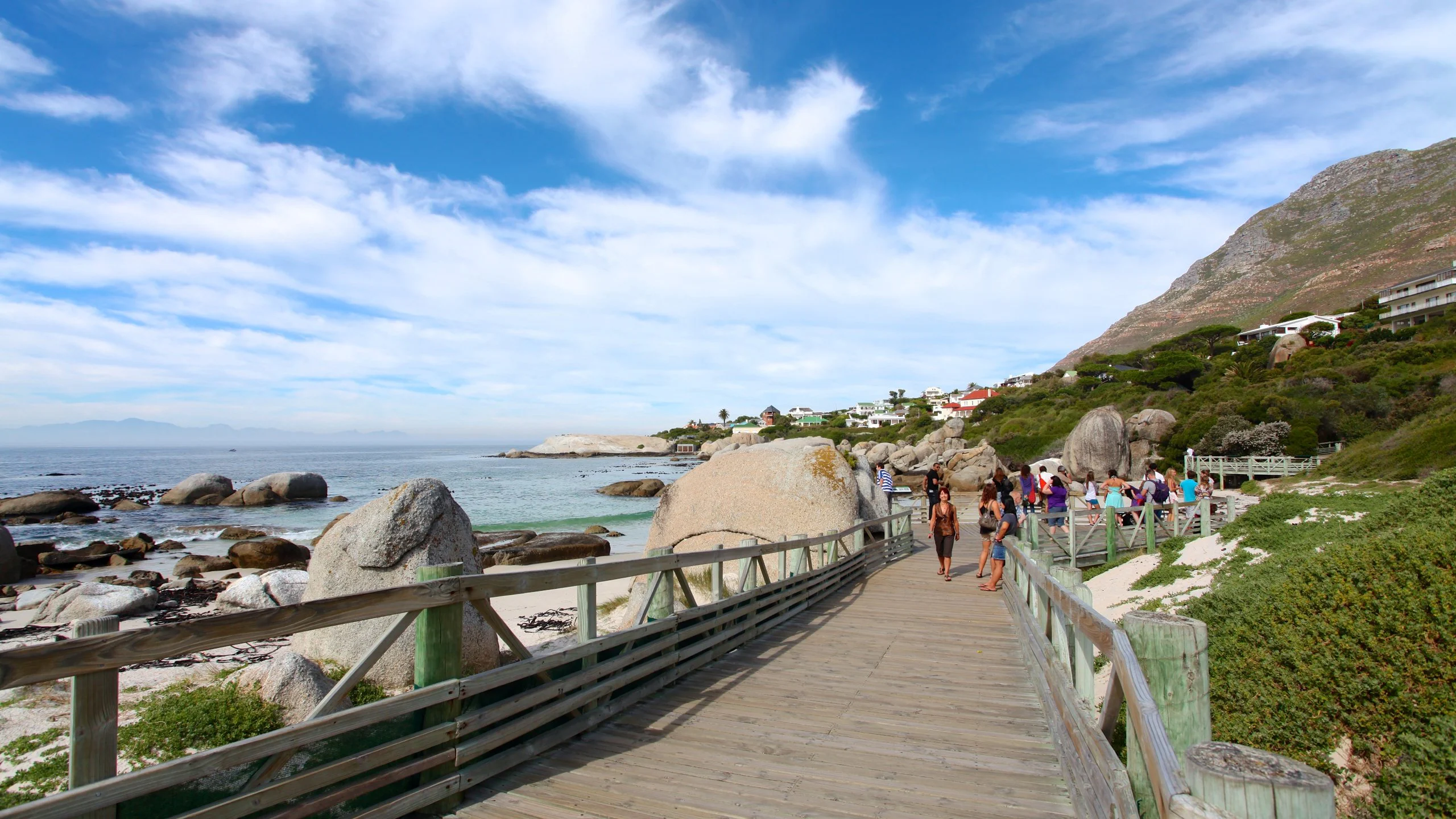 Coastal Viewing Platforms
