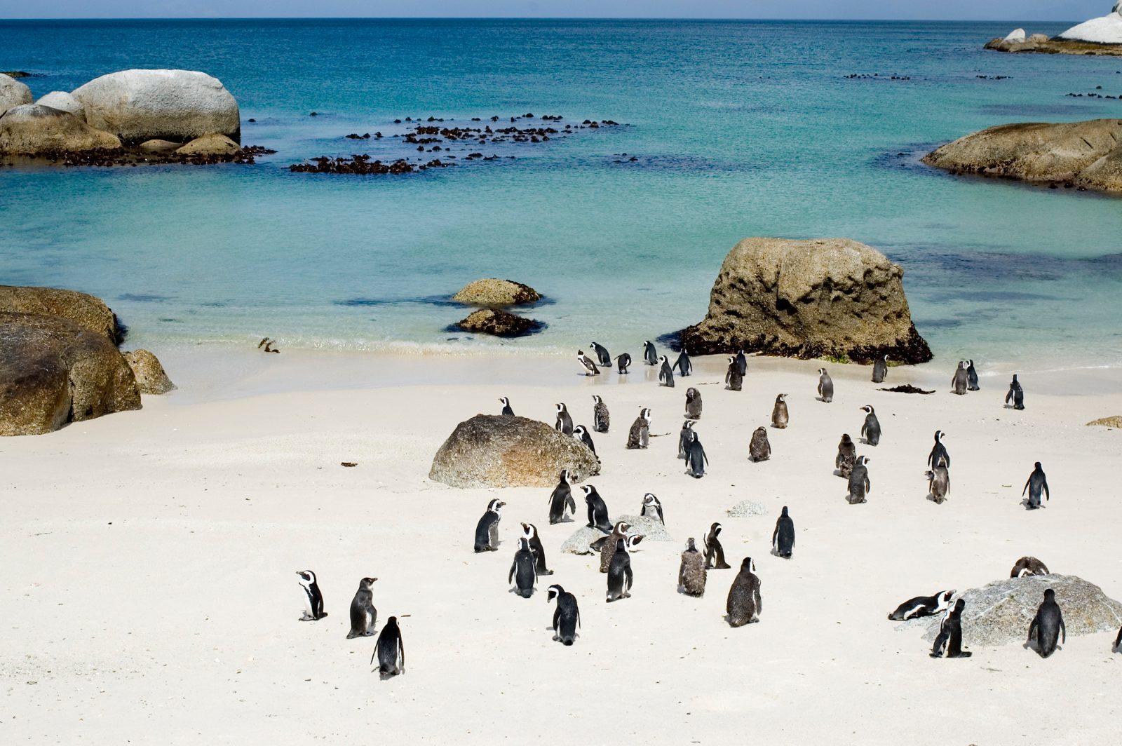 Boulders Beach