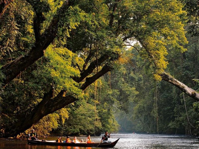 How to Get to Taman Negara From Kuala Lumpur