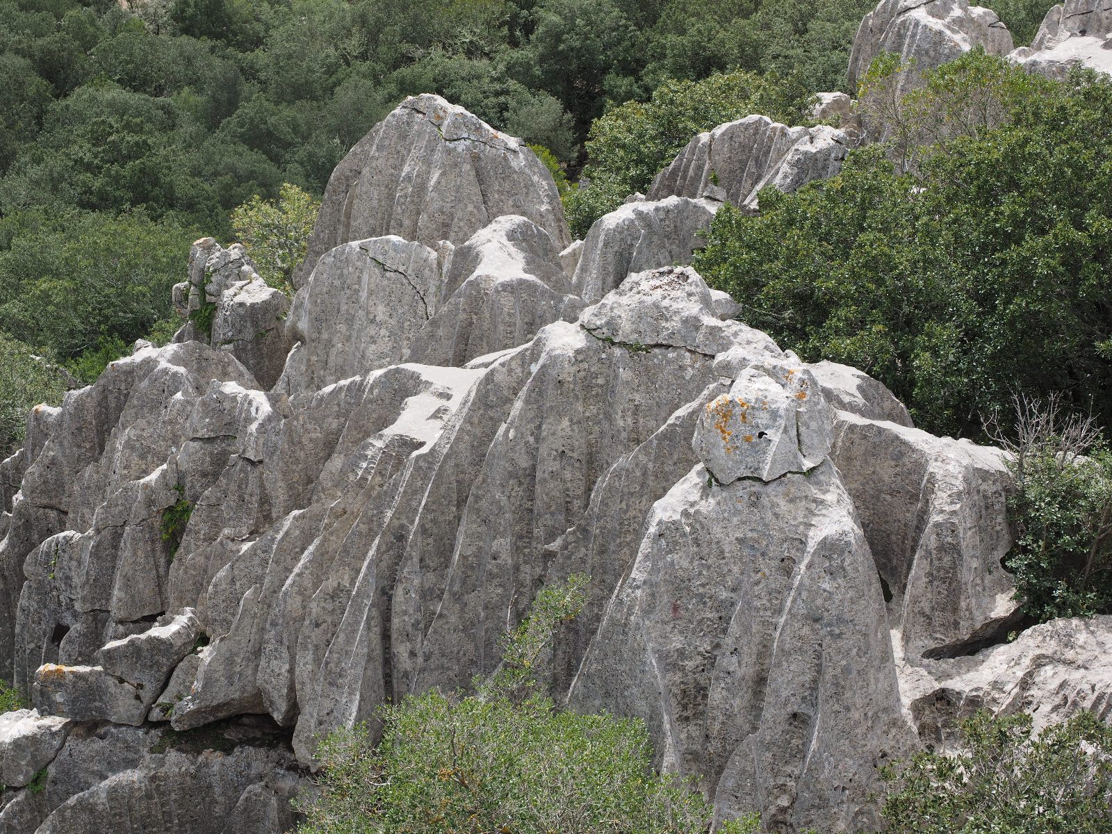 Limestone Rock Formation