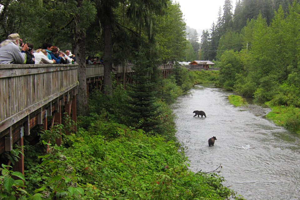 Steep Creek Trail