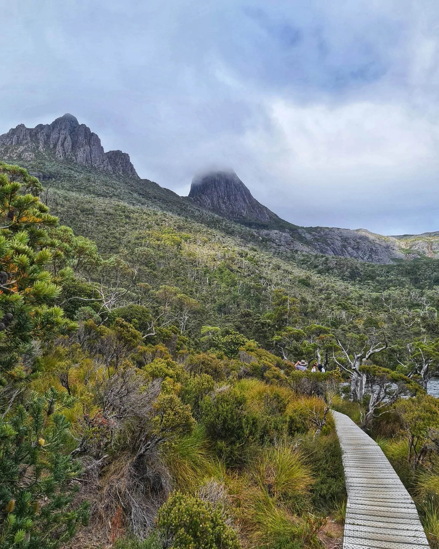 How to Get to Cradle Mountain From Launceston