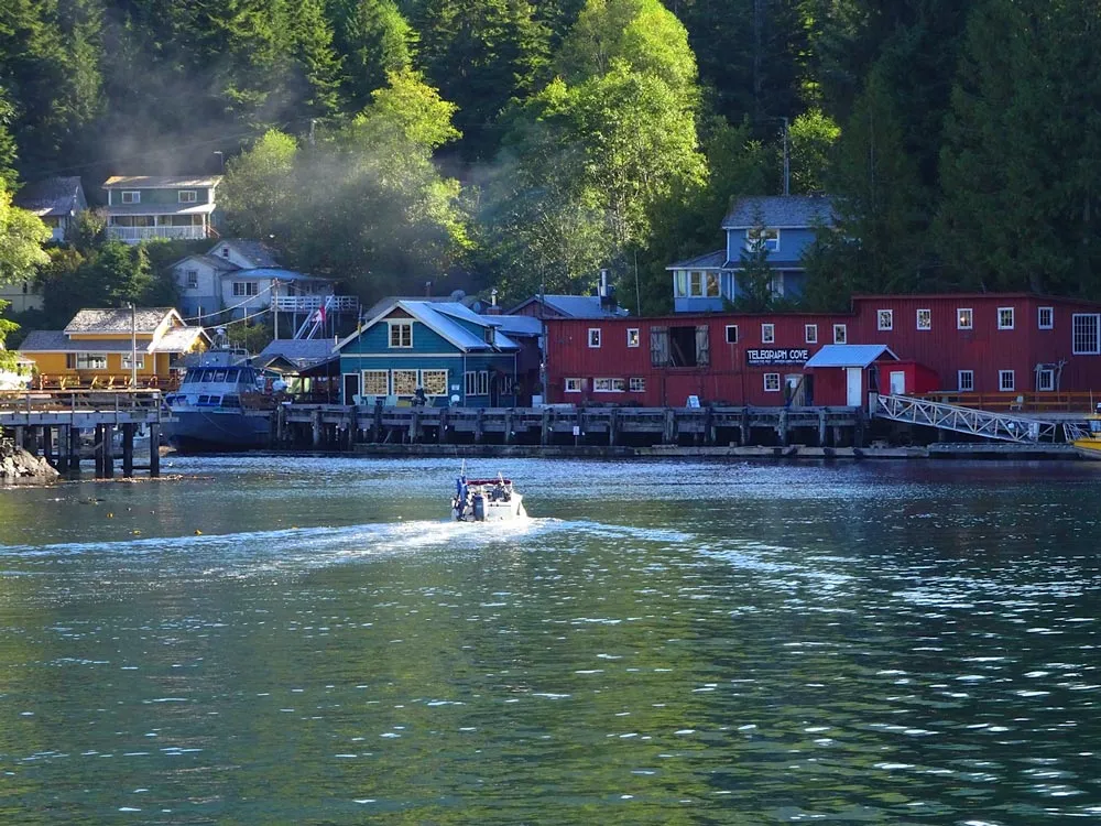 Telegraph Cove Whale Watching Prices