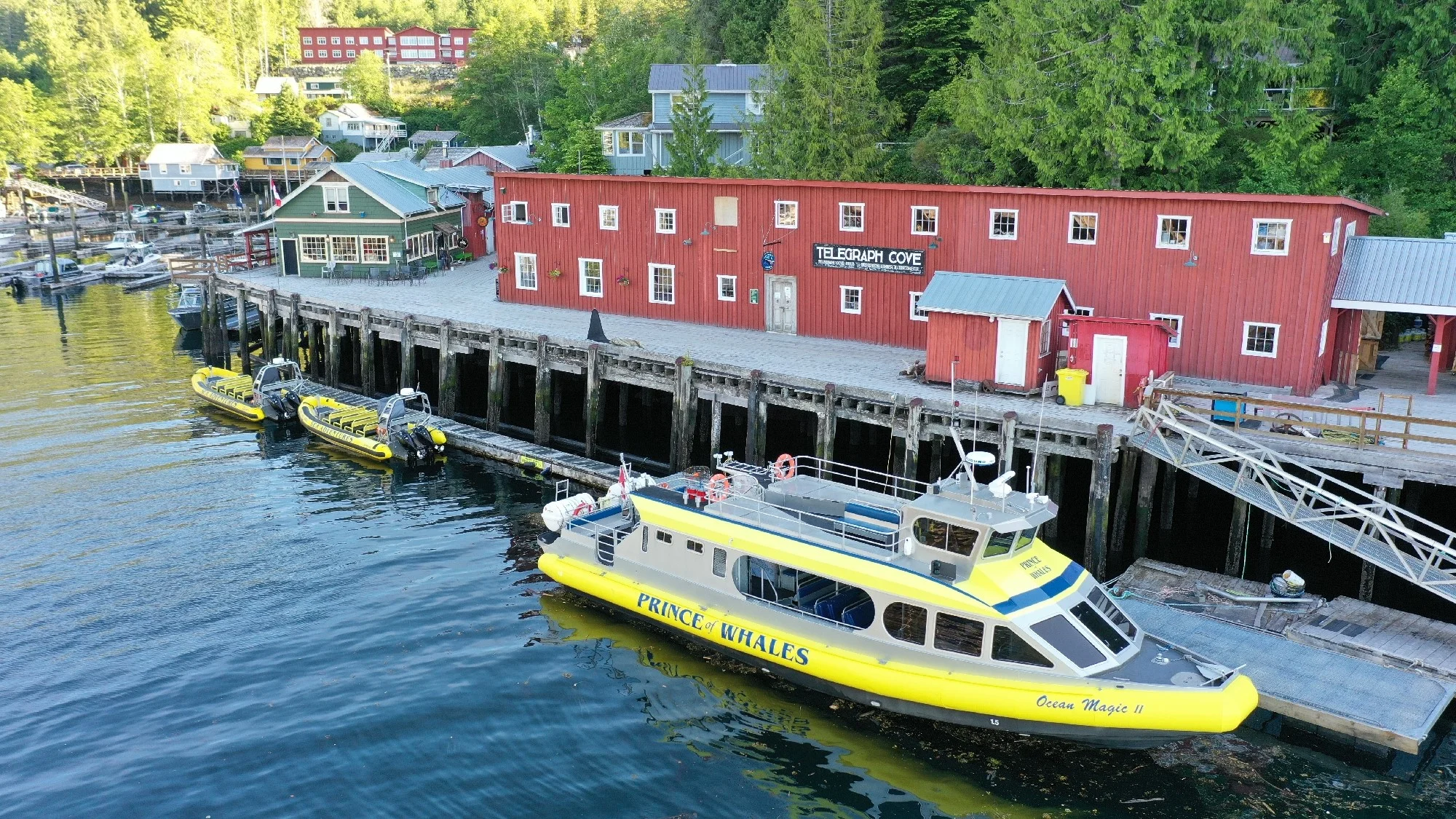 How Long Are Whale Watching Tours