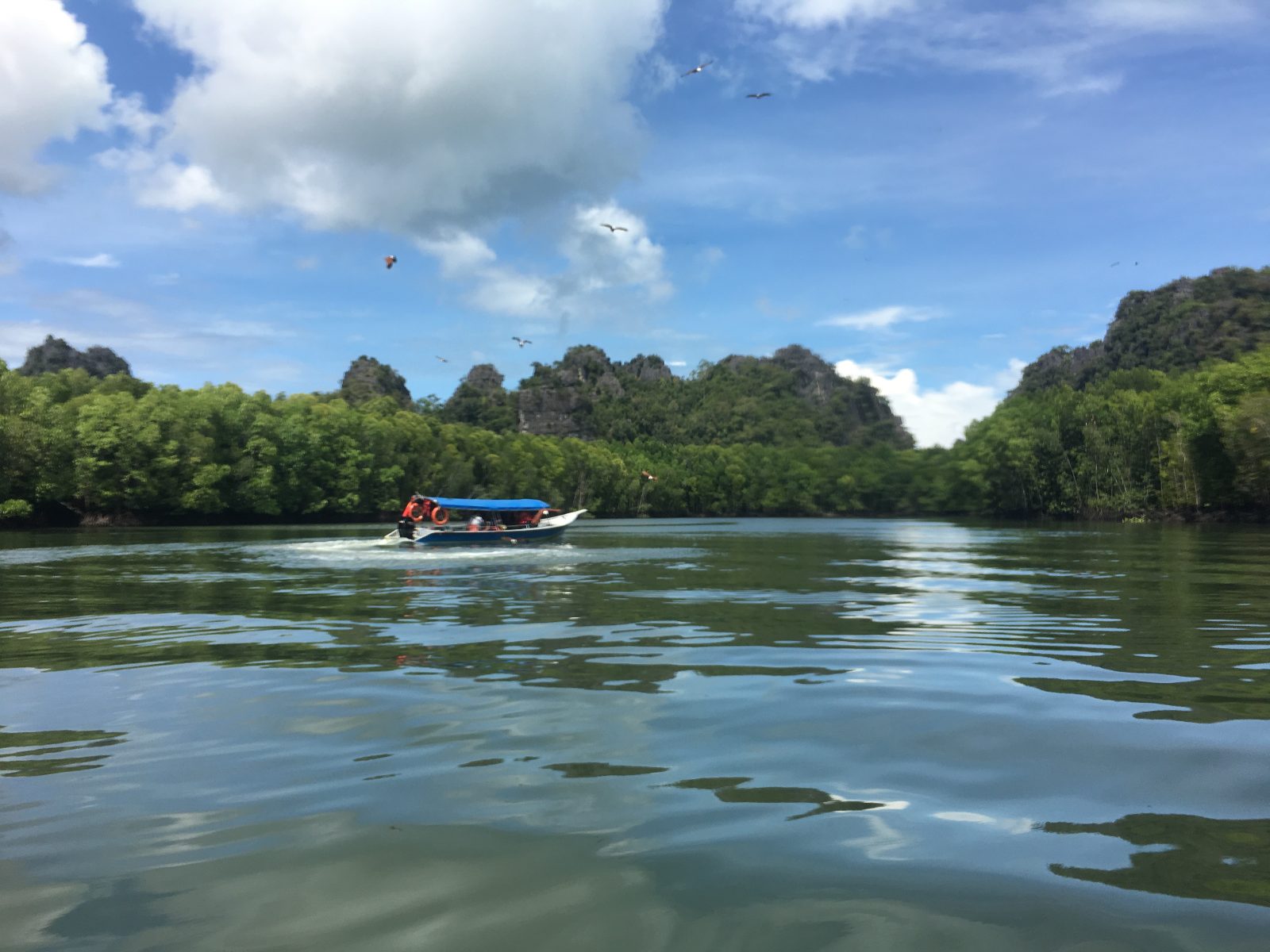 Langkawi Mangrove Tour Timings