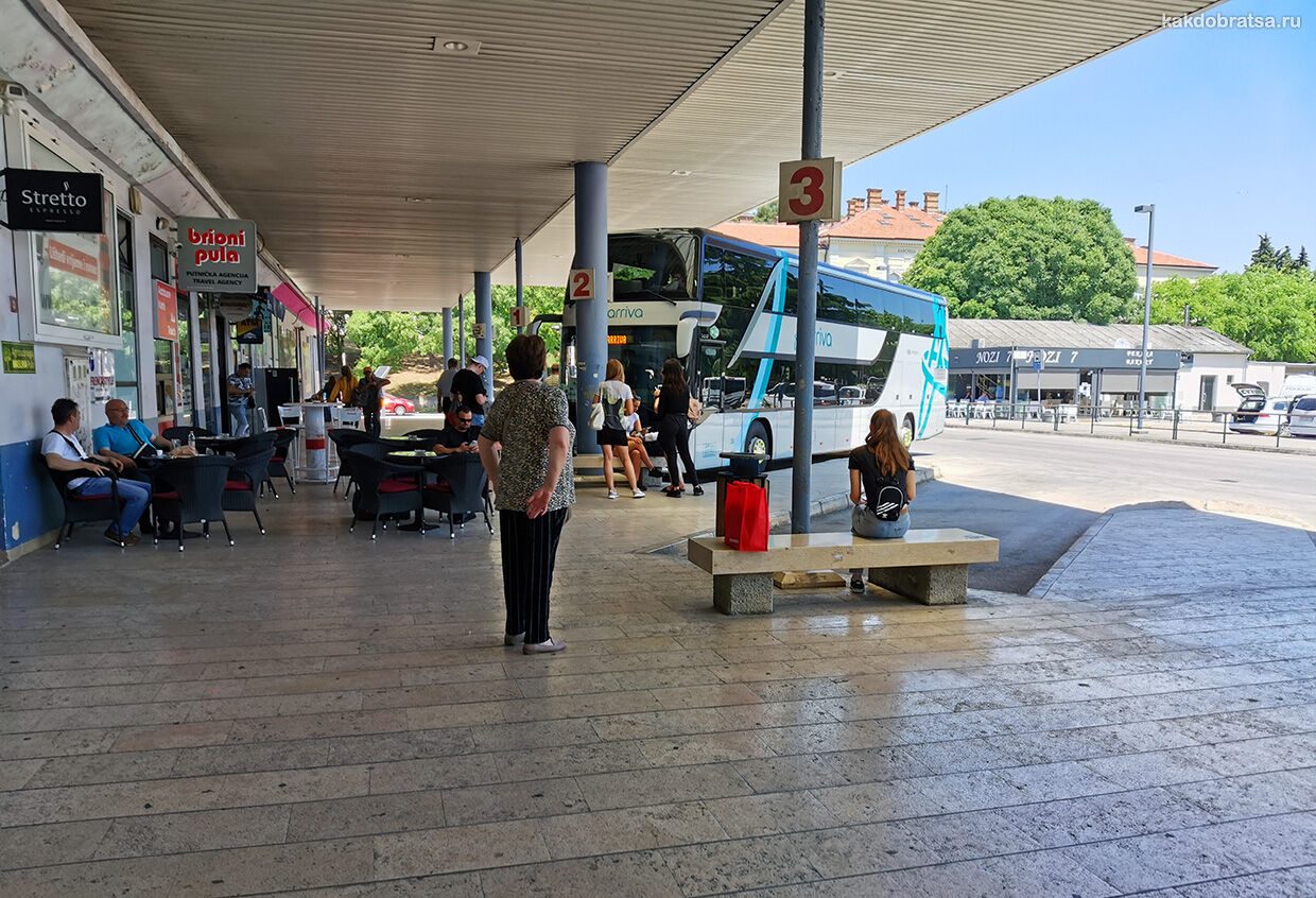 Budget hostels near the bus station