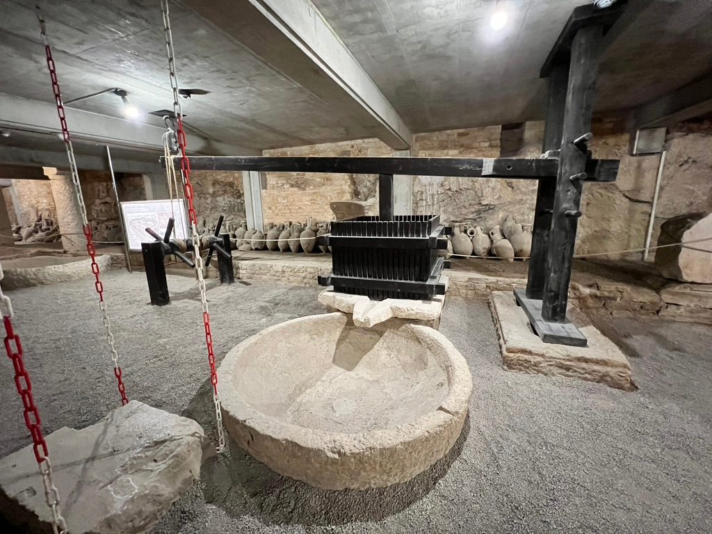 Olive Oil and Wine Exhibition