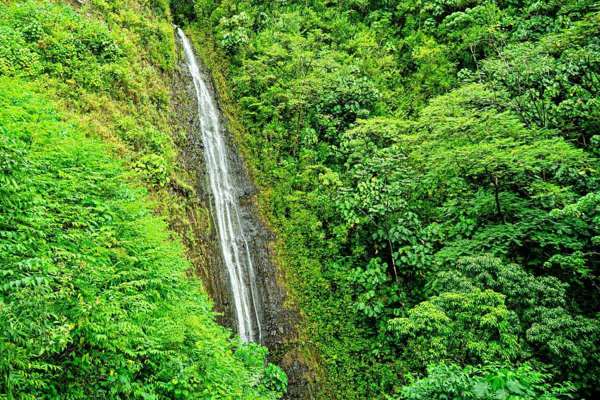 Trilha de Manoa Falls
