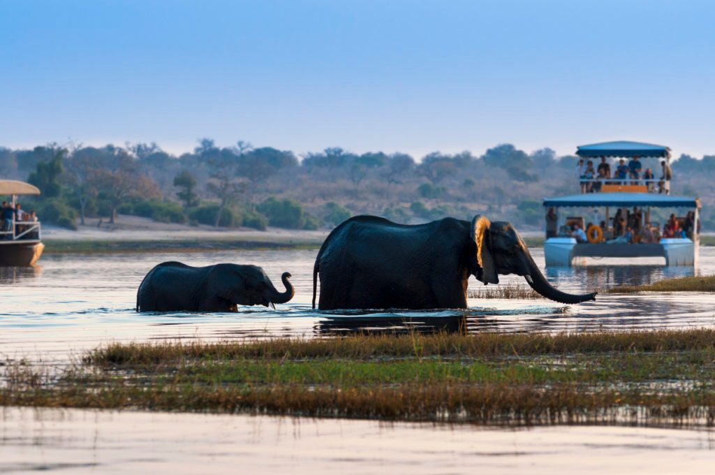 How to Get From Victoria Falls to Chobe National Park