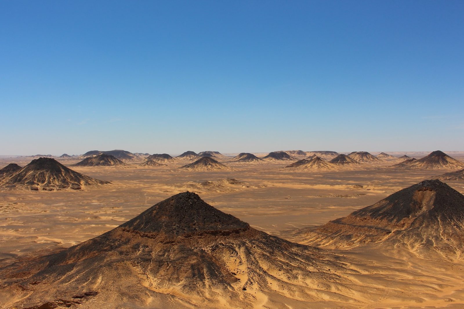 Black Desert