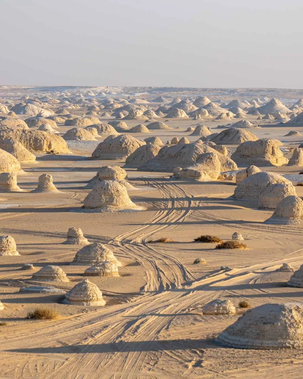 The Old Desert