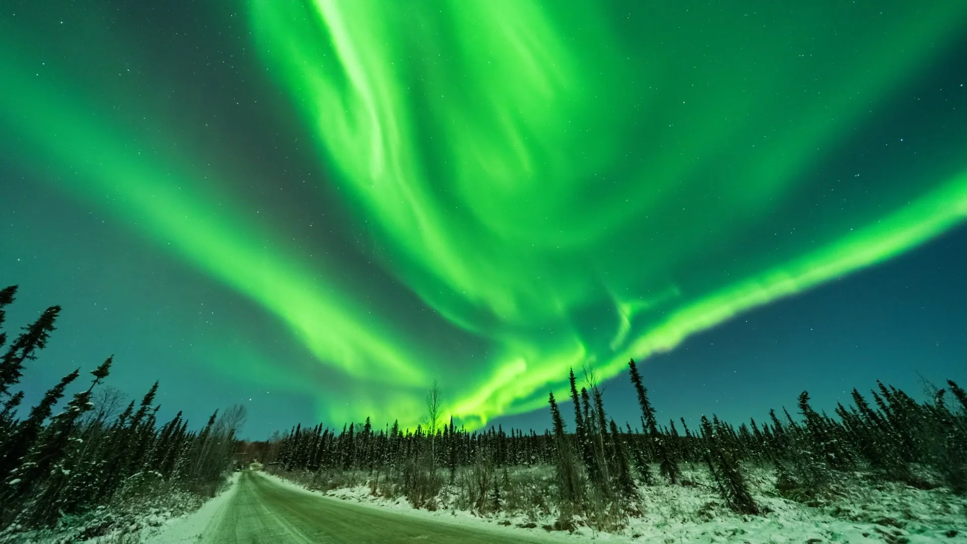 When Can You See the Northern Lights in Fairbanks Alaska