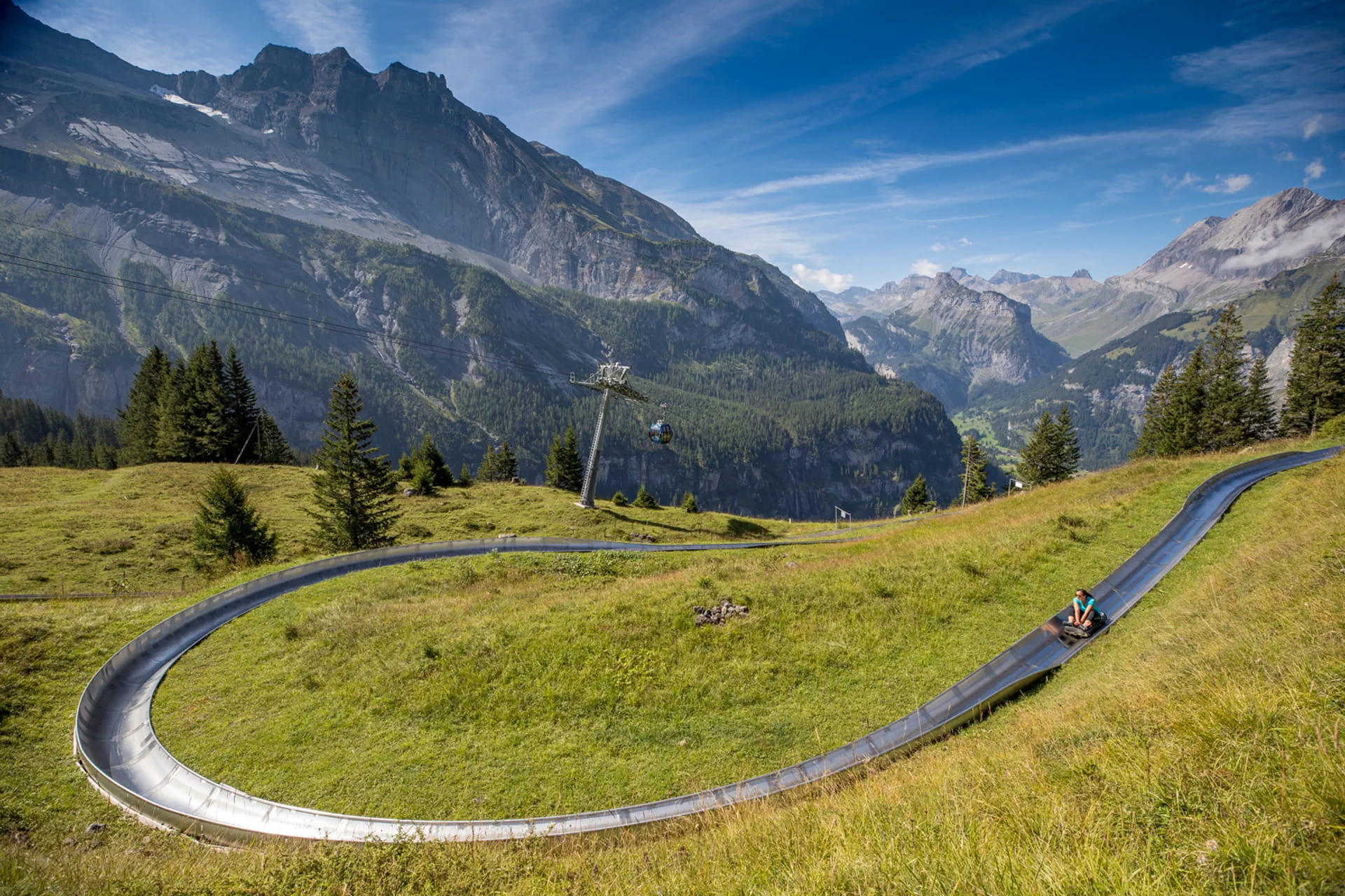 Summer Toboggan Run